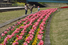 市役所の土手04