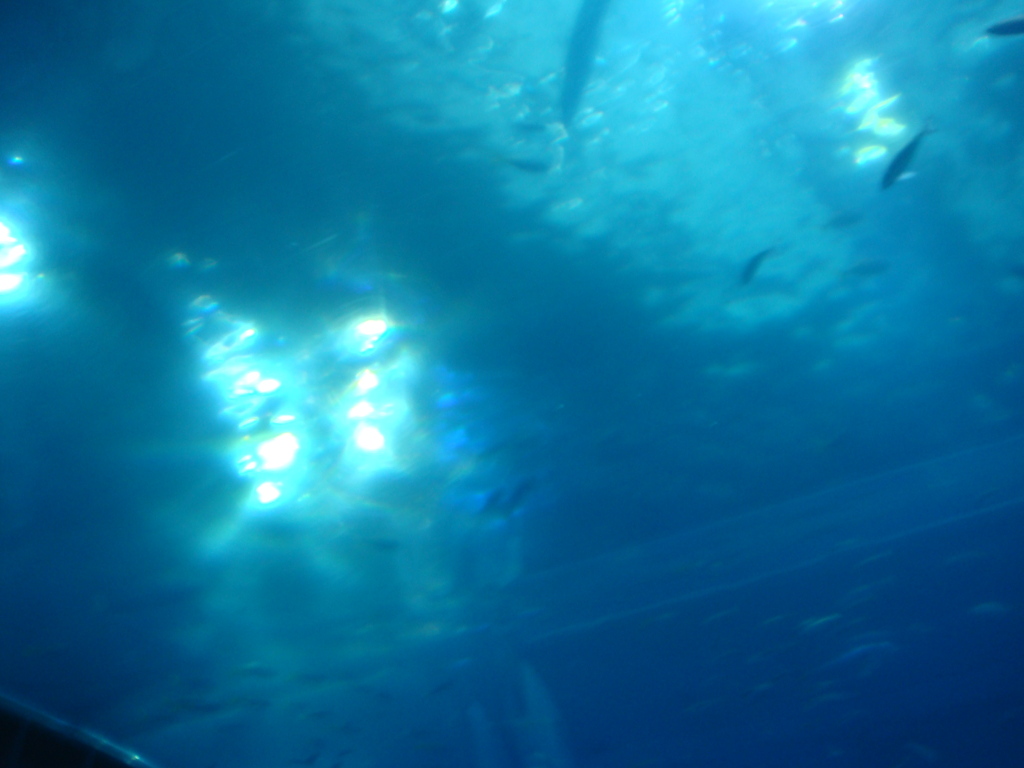 海中。