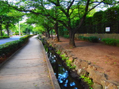 P6290028