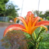 P6290030