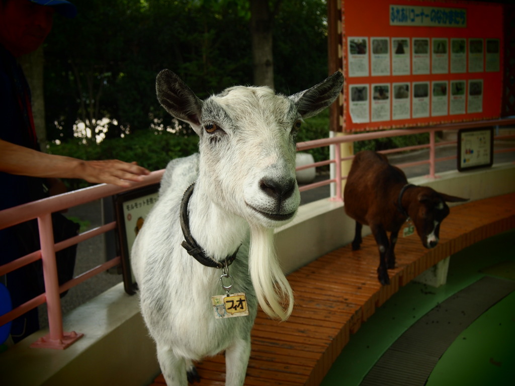 P6300069