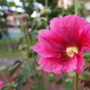 P6290033