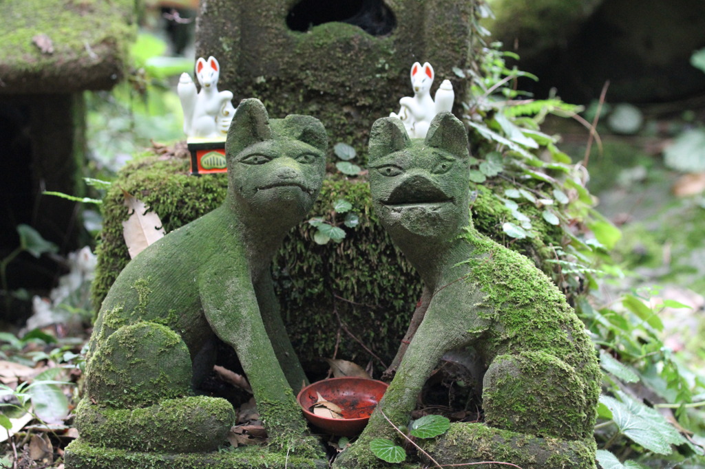 「お、撮られてるぞ！」　「マジでっ？！」