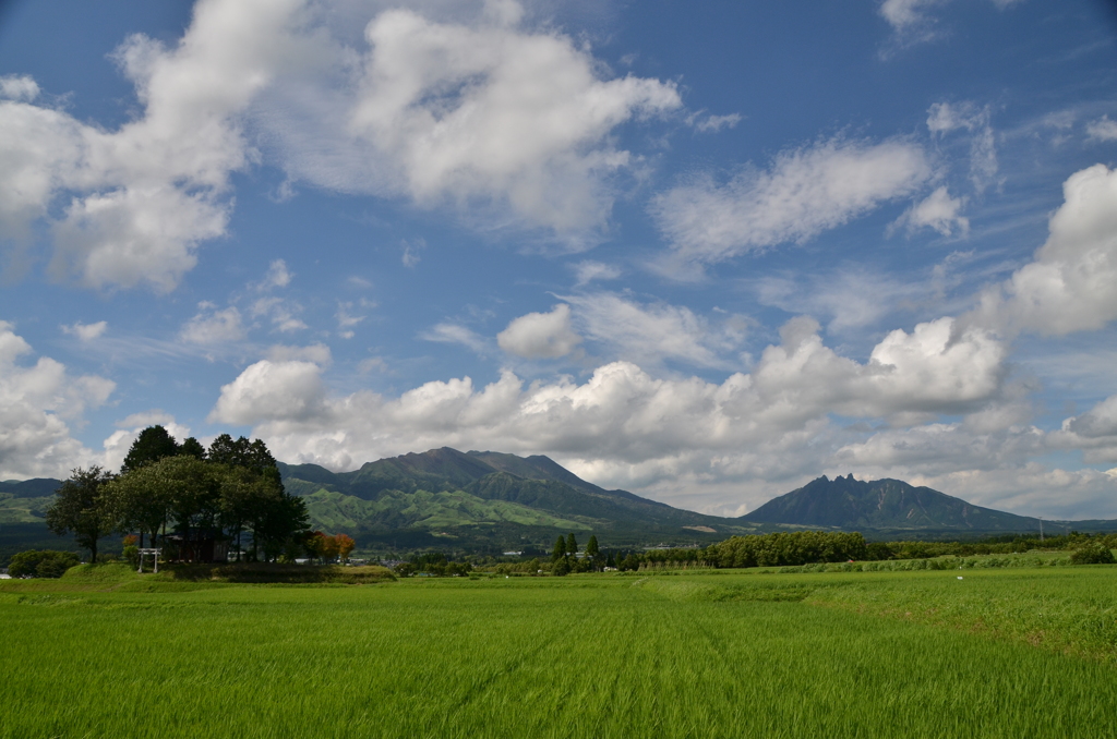 初夏の南阿蘇