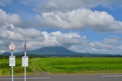 大山を望む