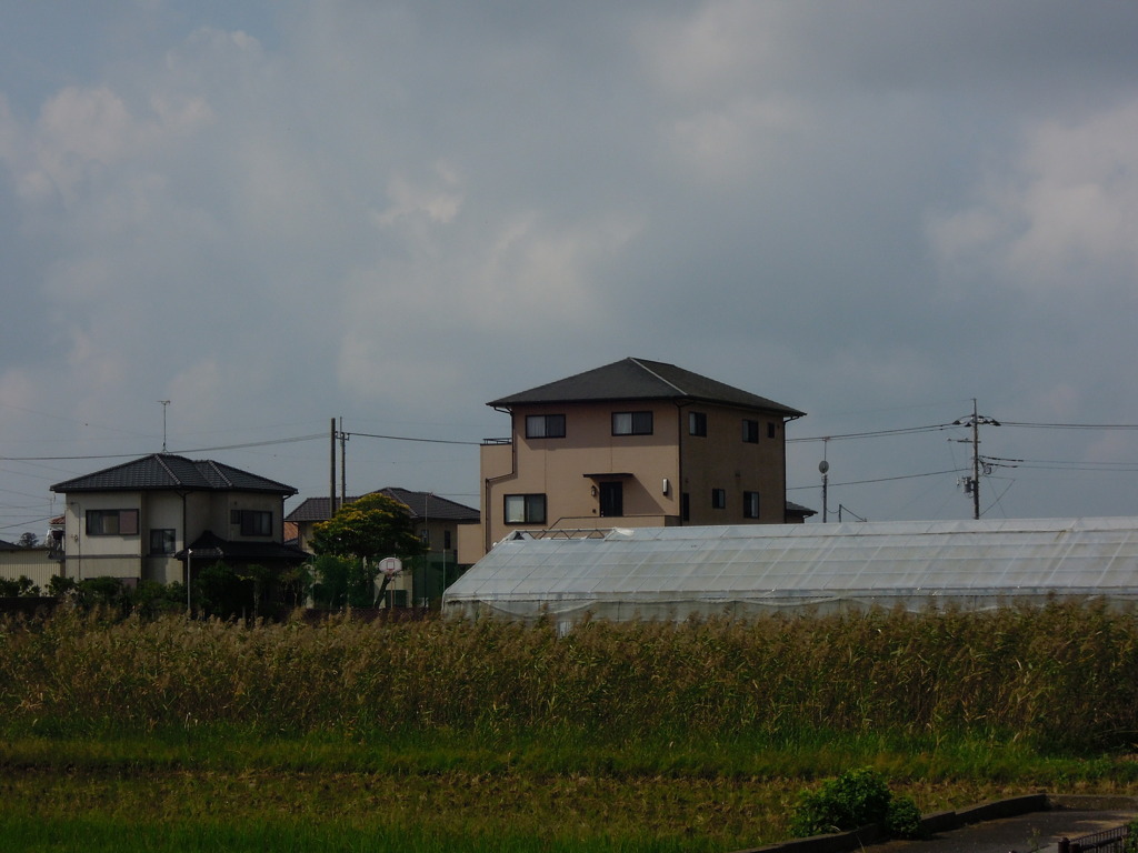 屋外ズーム試写－２