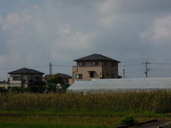 屋外ズーム試写－２