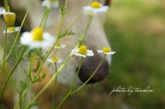 20110524215532a3c