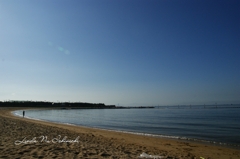 20110712213620f01