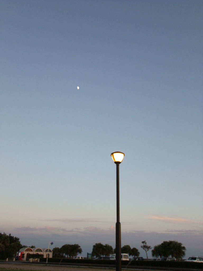 2010_10170033