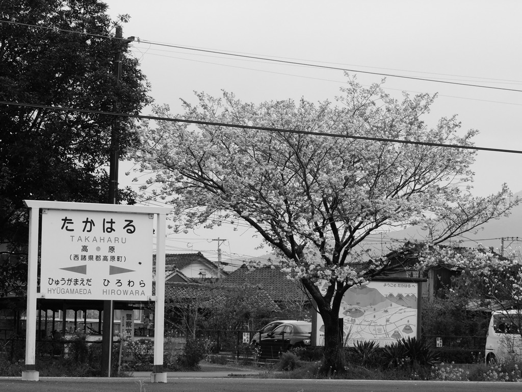 高原駅