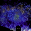 夜空に花