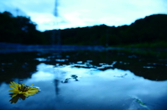 水辺