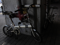自転車の似合う風景