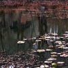 Apparition 2