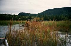 Yukon 15