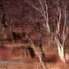 Apparition