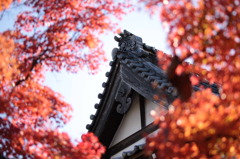 長松寺本堂屋根