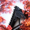 長松寺本堂屋根