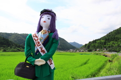 保井谷ガイド