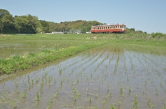 いすみ鉄道キハ52