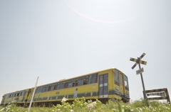 ムーミン列車と踏切
