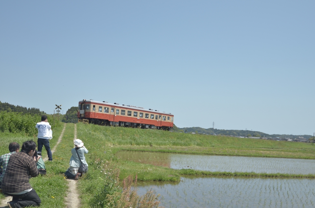 いすみ鐵道と撮り鉄さん