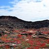 Galapagos Landscape