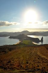 Galapagos Landscape