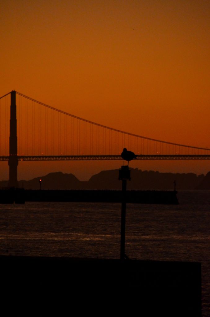 Golden Gate Bridge