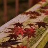 雨降って楓張り付く