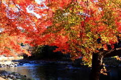 そろそろ見納め