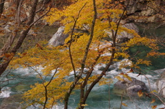 IMGP2860