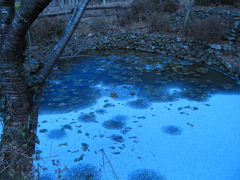 凍った池