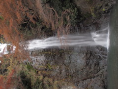 箕面滝