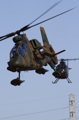 OH-1 & OH-6