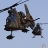 OH-1 & OH-6