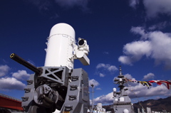 CIWS