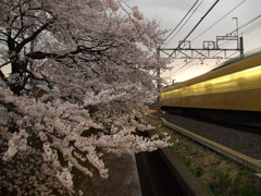 春の夕べ