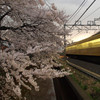 春の夕べ