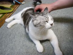 ん～そこそこ
