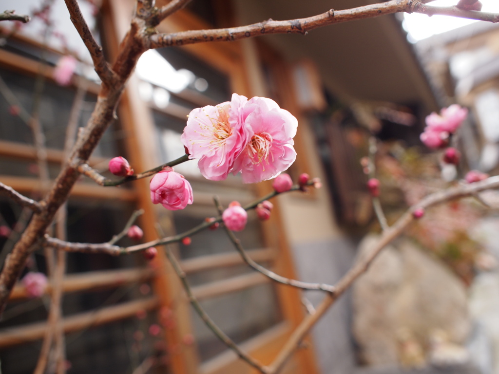 春の予感