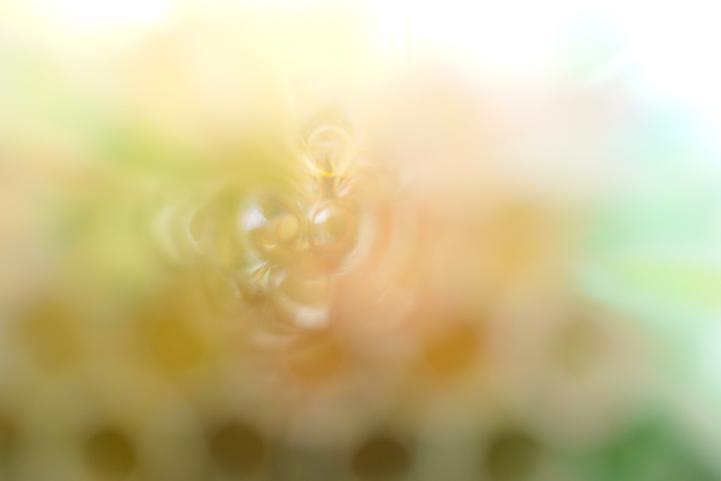 遊んでみました♪