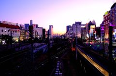 アダルトナイトシティ