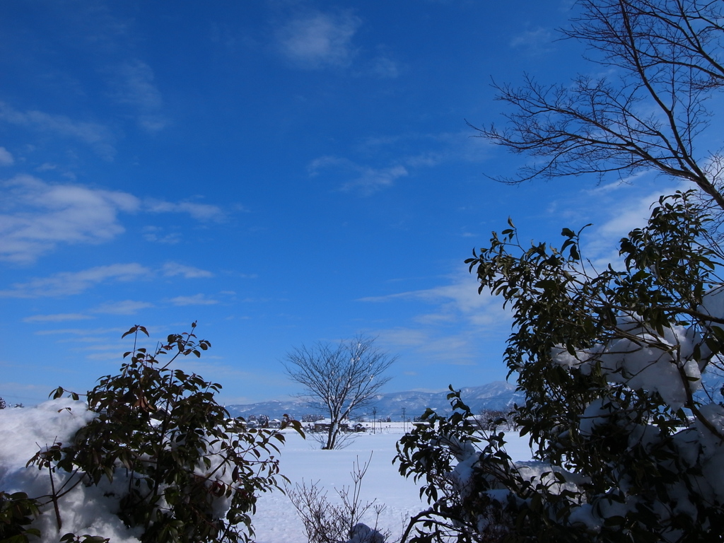 大雪のち快晴１