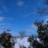 大雪のち快晴１