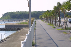 道