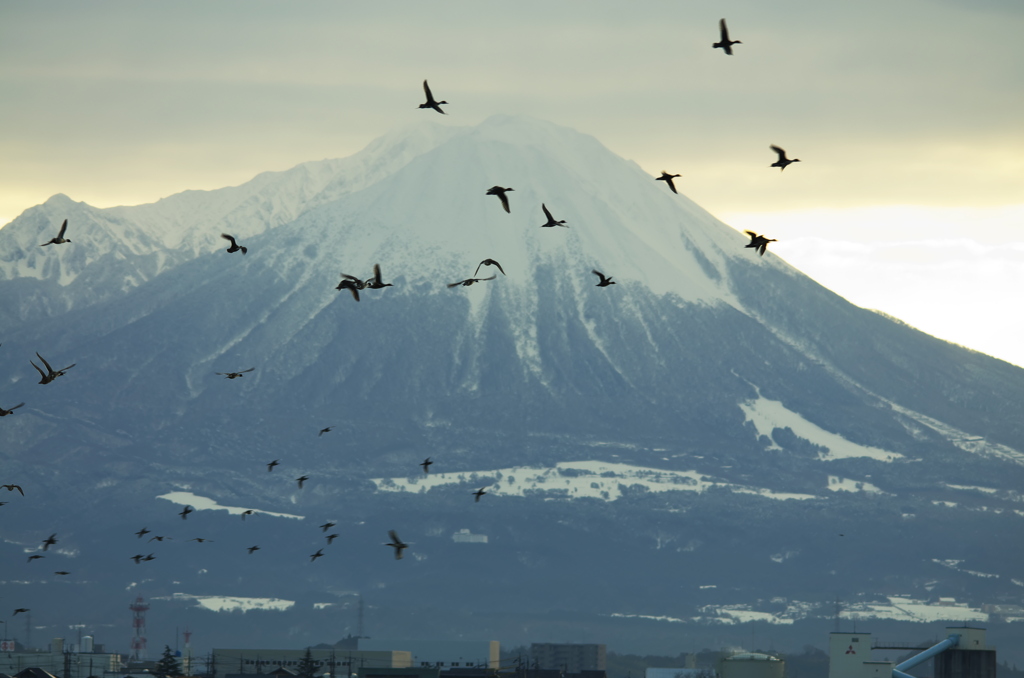 冬空を