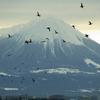 冬空を