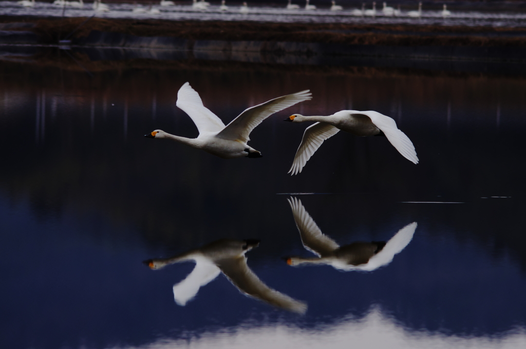鏡面上の
